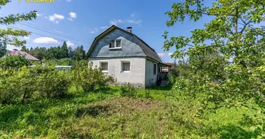 Dom w Januskavicki sielski Saviet, Białoruś