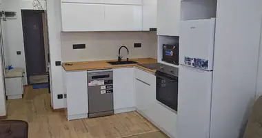2 bedroom apartment in Batumi, Georgia