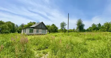 Casa en Piarsajski sielski Saviet, Belarús