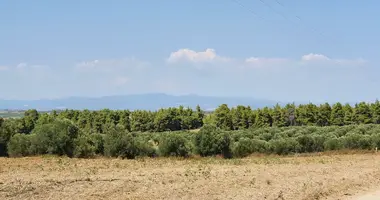 Plot of land in Kassandreia, Greece