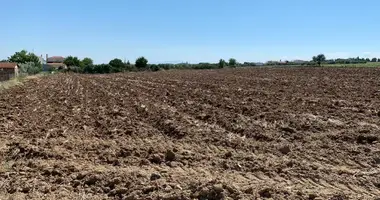 Plot of land in Thermaikos Municipality, Greece