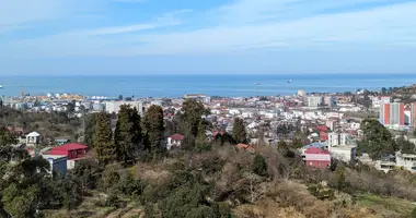 House in Peria, Georgia
