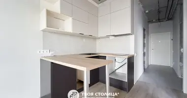 1 bedroom apartment in Minsk, Belarus