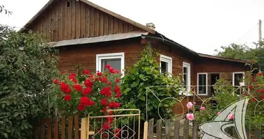 Dom w Rakitnicki sielski Saviet, Białoruś