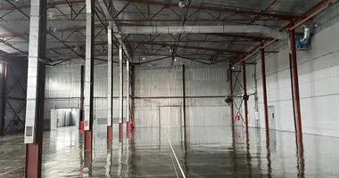 Склад 2 500 м² в Троицк, Россия