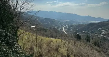 Дом в Периа, Грузия