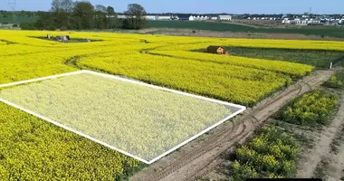 Działka w Polska