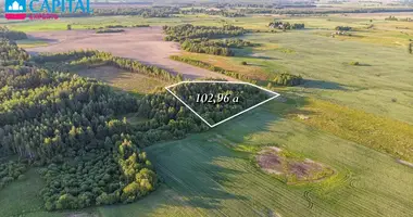Plot of land in Siauliai, Lithuania