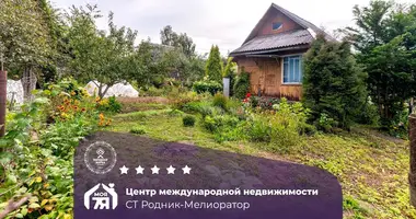 Maison dans Lasanski sielski Saviet, Bélarus