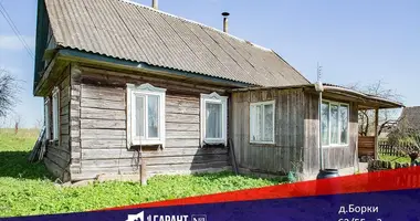 House in Pryharadny sielski Saviet, Belarus