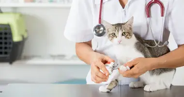 Gewerbefläche 298 m² in Barcelona, Spanien