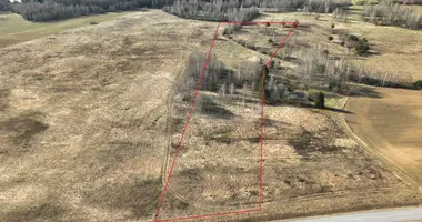 Plot of land in Vanagine, Lithuania