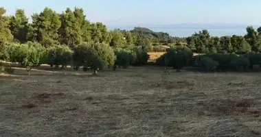 Plot of land in Kassandra Municipality, Greece