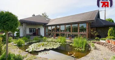 Cottage in Bialarucki sielski Saviet, Belarus