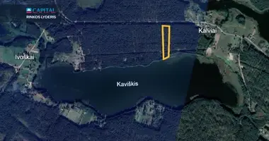 Plot of land in Kalviai, Lithuania