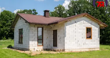Cottage in Dukora, Belarus