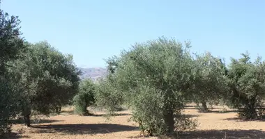 Plot of land in Municipality of Chania, Greece