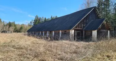Склад 491 м² в Кревский сельский Совет, Беларусь
