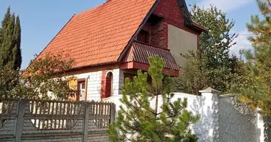 House in Ciareskavicki sielski Saviet, Belarus