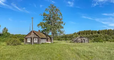 House in Urneziai, Lithuania