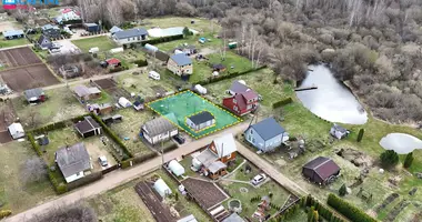 Dom w Sarapai, Litwa