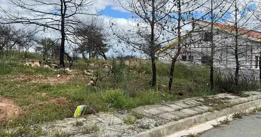 Terrain dans Souni Zanatzia, Chypre