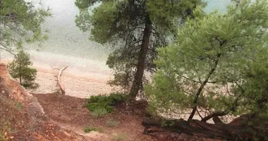 Parcela en Municipality of Sithonia, Grecia