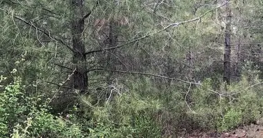 Квартира в Мониатис, Кипр