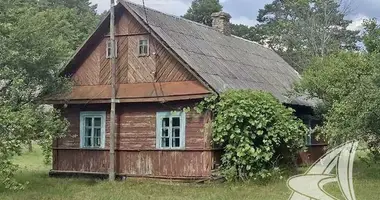 Haus in Damacauski sielski Saviet, Belarus