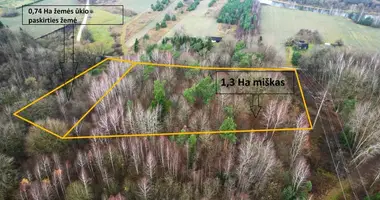Terrain dans Upninkai, Lituanie