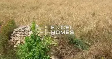 Nieruchomości komercyjne w Mosta, Malta