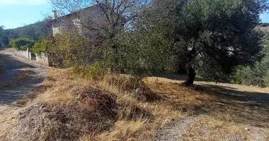 Участок земли в Фоча, Турция