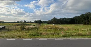Grundstück in Wioska, Polen