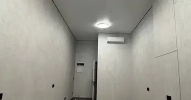 Nieruchomości komercyjne 24 m² w Odessa, Ukraina