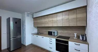 2 bedroom apartment in Minsk, Belarus