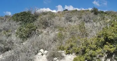 Plot of land in Pyrgos Lemesou, Cyprus