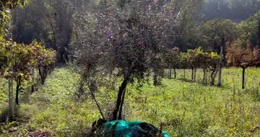 Plot of land in Terni, Italy