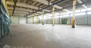 Gewerbefläche 1 296 m² in Riga, Lettland