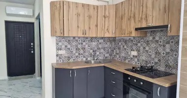 Appartement 1 chambre dans Lymanka, Ukraine