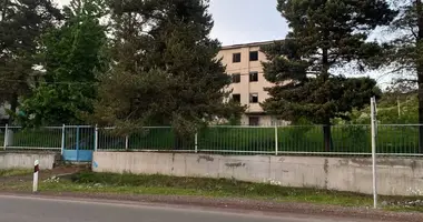 Propiedad comercial 3 314 m² en Adigeni, Georgia