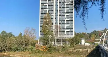 1 bedroom apartment in Batumi, Georgia