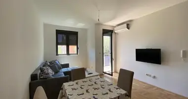 1 bedroom apartment in Podgorica, Montenegro