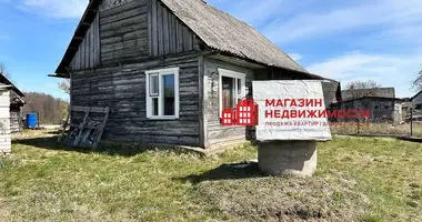 House in Hozski sielski Saviet, Belarus
