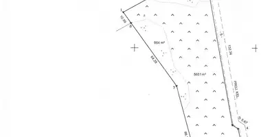 Działka w Gulbiniszki, Litwa