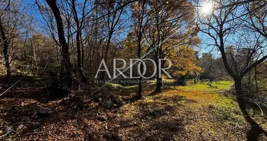 Terrain dans Grobnik, Croatie