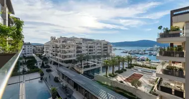 Apartamento 1 habitacion en Montenegro