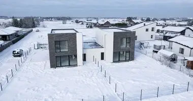 House in Pamaisupys, Lithuania