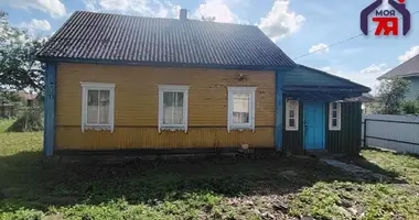 House in Starobin, Belarus