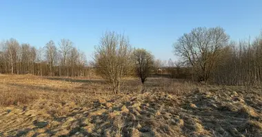 Grundstück in Katiliskes, Litauen