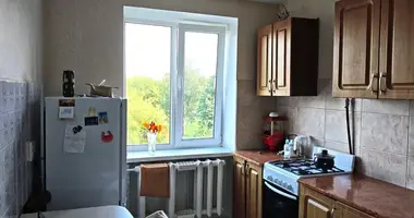 2 bedroom apartment in Maladzyechna, Belarus